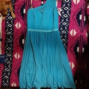 Size 0 David's bridal maid of honor dress